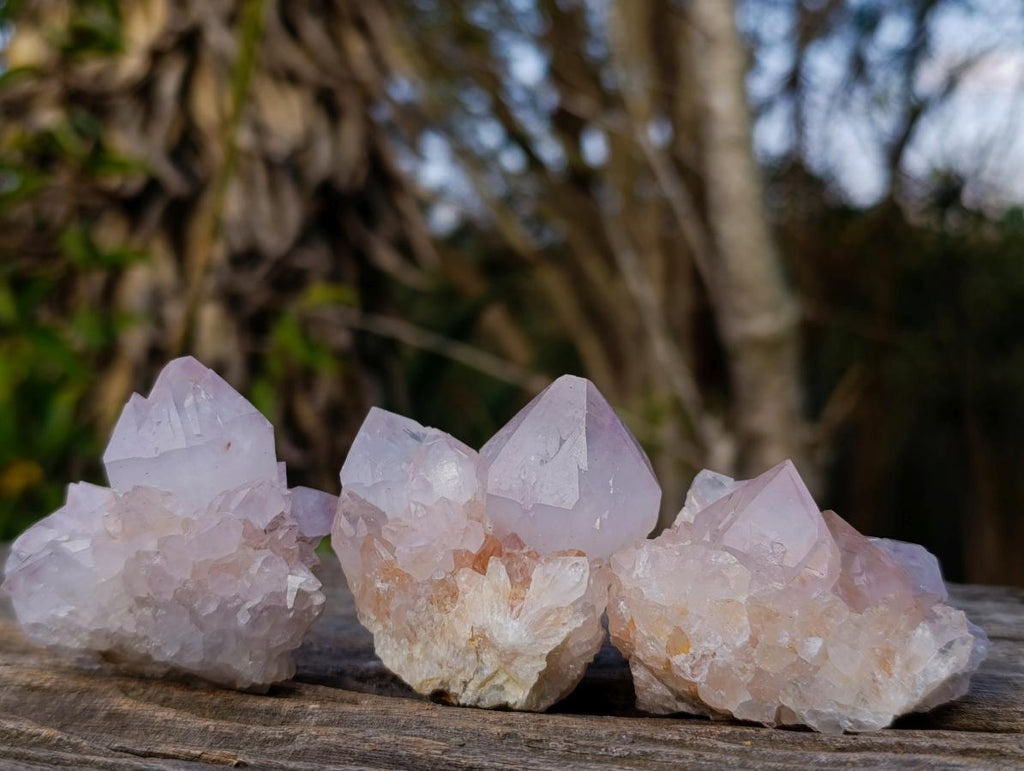 Natural Lilac Spirit Amethyst Clusters x 12 From Boekenhouthoek, South Africa