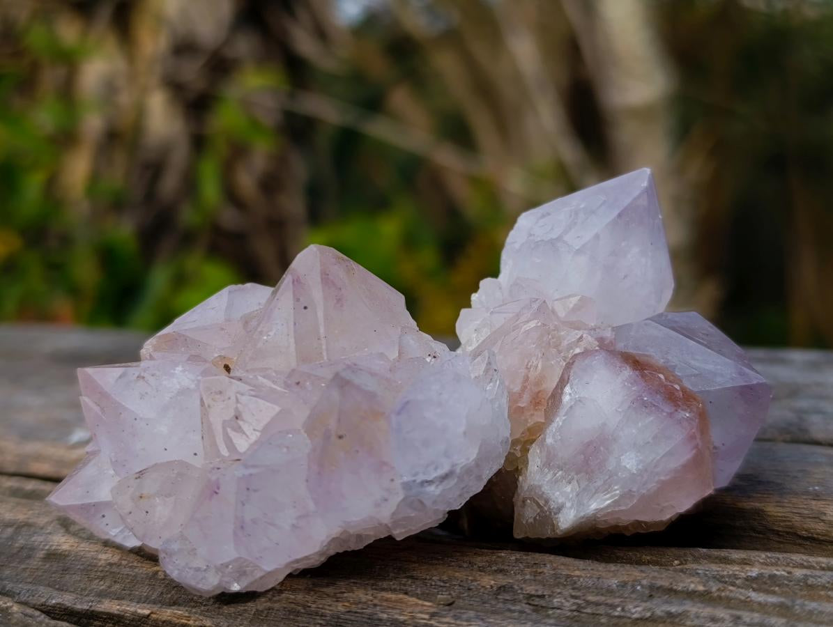 Natural Lilac Spirit Amethyst Clusters x 12 From Boekenhouthoek, South Africa
