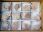 Natural Lilac Spirit Amethyst Clusters x 12 From Boekenhouthoek, South Africa
