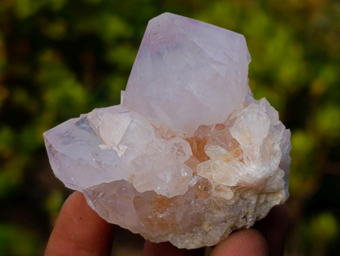 Natural Lilac Spirit Amethyst Clusters x 12 From Boekenhouthoek, South Africa