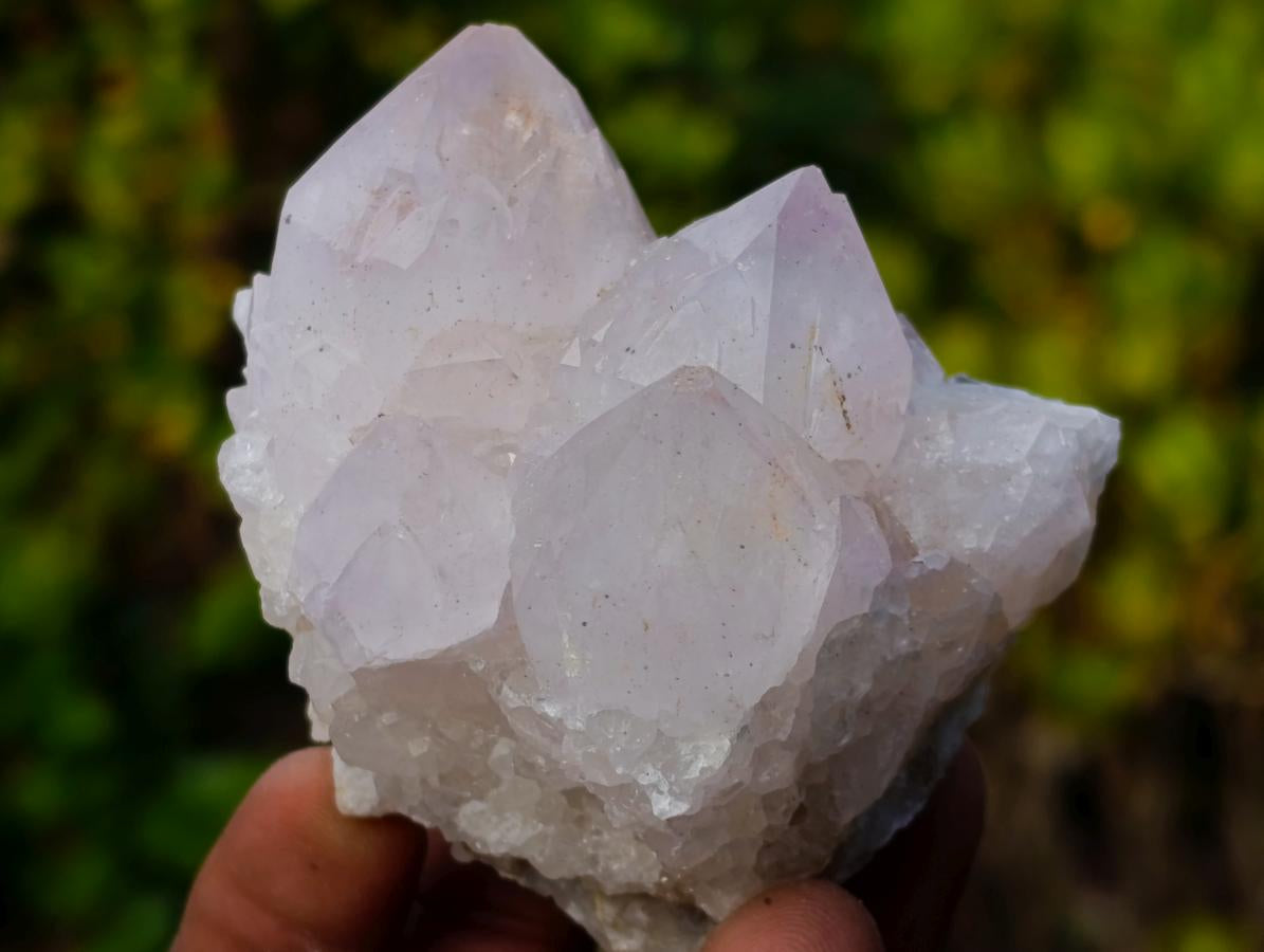 Natural Lilac Spirit Amethyst Clusters x 12 From Boekenhouthoek, South Africa