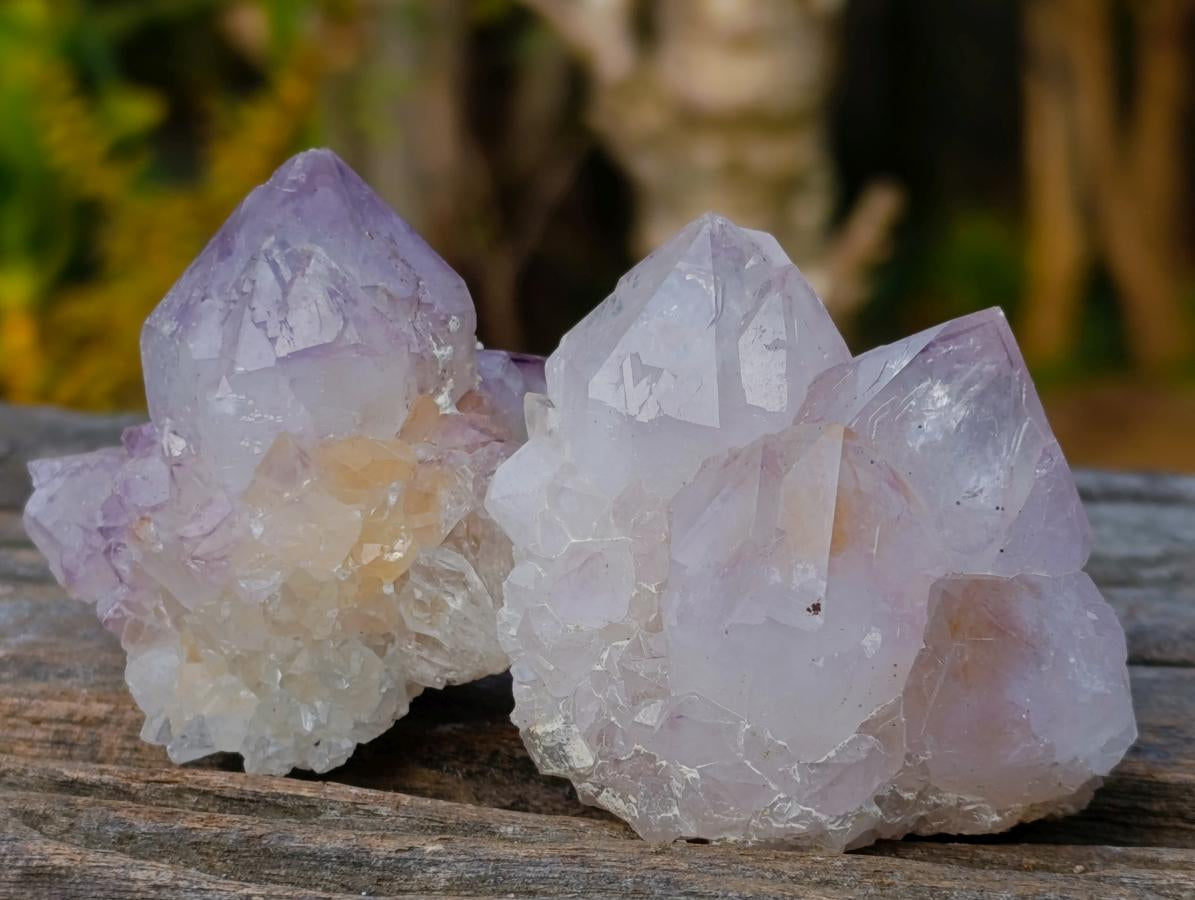 Natural Lilac Spirit Amethyst Clusters x 12 From Boekenhouthoek, South Africa