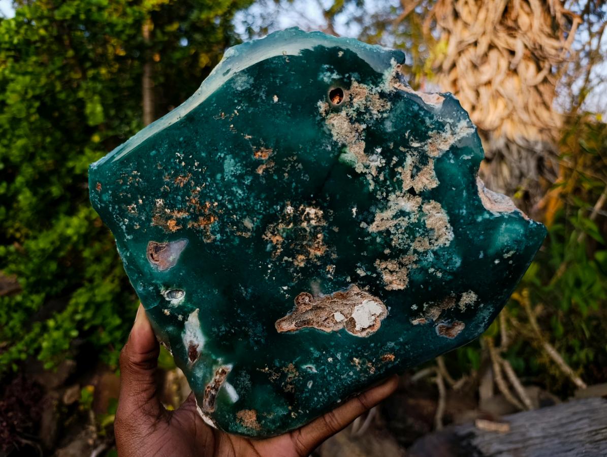 Polished One Side Large Mtorolite Chrysoprase Slice x 1 From Mutorashanga, Zimbabwe