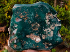 Polished One Side Large Mtorolite Chrysoprase Slice x 1 From Mutorashanga, Zimbabwe