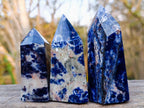 Polished Sodalite Display Crystals x 3 From Kunene River, Namibia