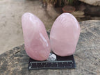 Polished Gemmy Rose Quartz Standing Display Pieces x 12 From Madagascar - Toprock Gemstones and Minerals 