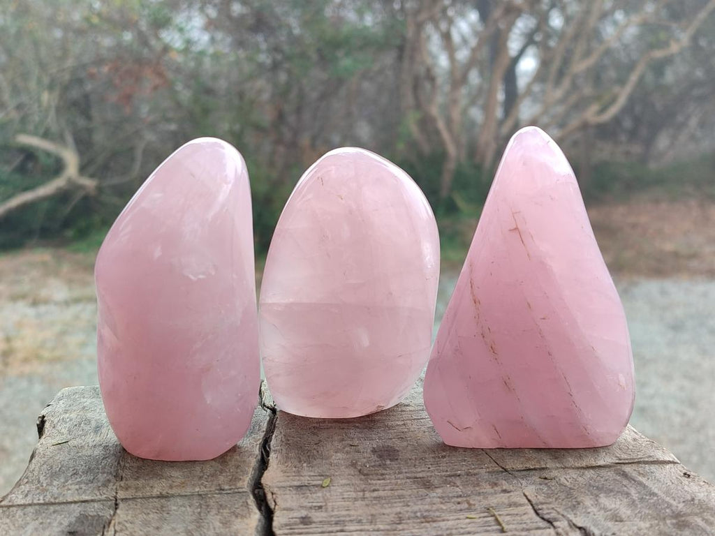 Polished Gemmy Rose Quartz Standing Display Pieces x 12 From Madagascar - Toprock Gemstones and Minerals 