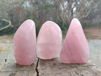 Polished Gemmy Rose Quartz Standing Display Pieces x 12 From Madagascar - Toprock Gemstones and Minerals 