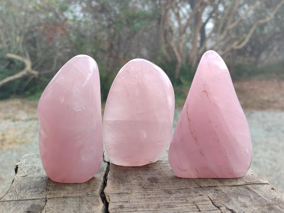 Polished Gemmy Rose Quartz Standing Display Pieces x 12 From Madagascar - Toprock Gemstones and Minerals 