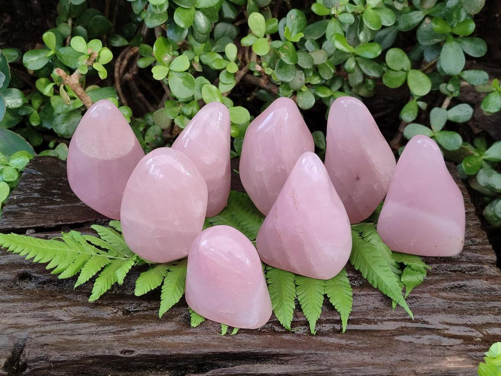 Polished Gemmy Rose Quartz Standing Display Pieces x 12 From Madagascar - Toprock Gemstones and Minerals 