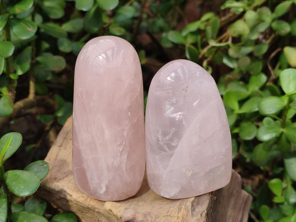 Polished Gemmy Rose Quartz Standing Display Pieces x 12 From Madagascar - Toprock Gemstones and Minerals 
