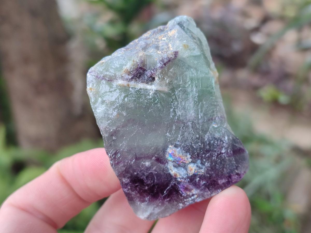 Natural Watermelon Fluorite Cobbed Specimens x 24 From Uis, Namibia