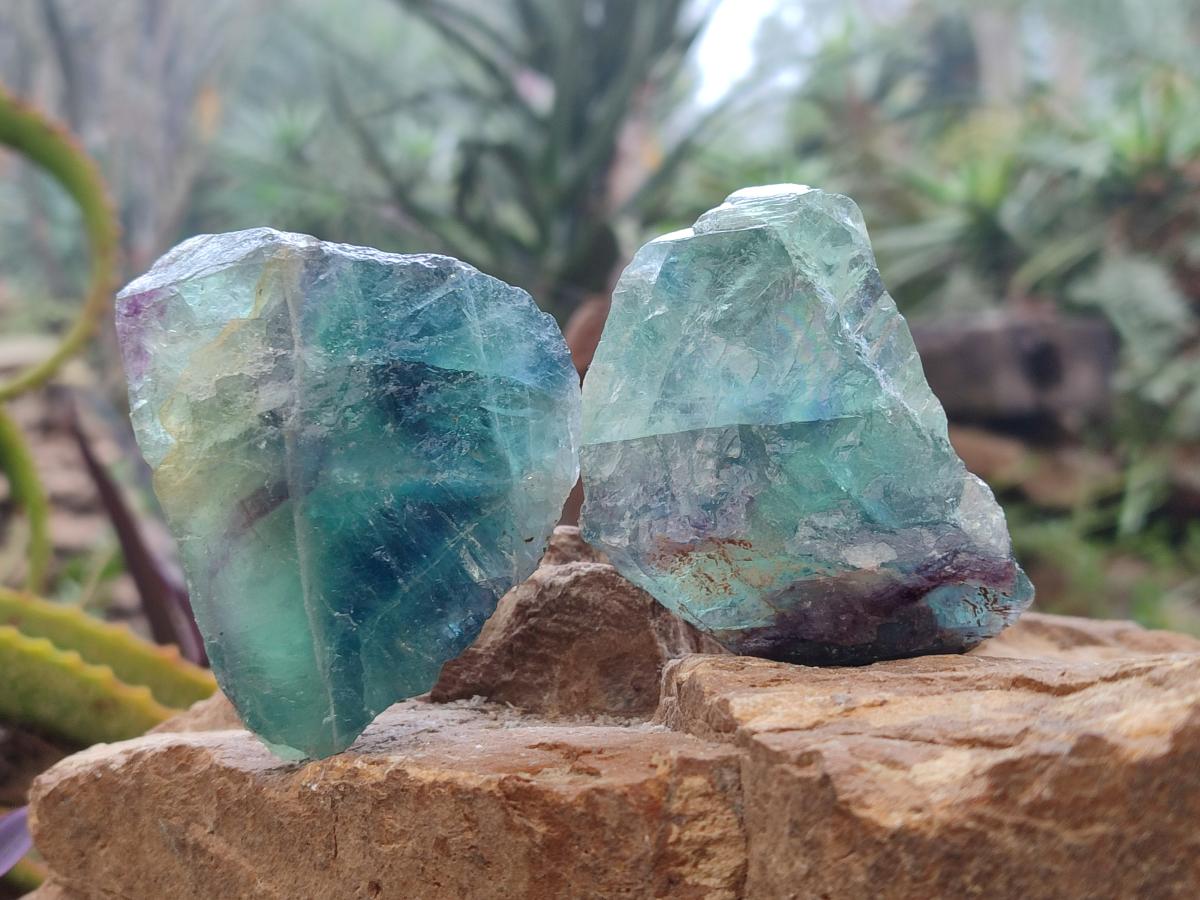 Natural Watermelon Fluorite Cobbed Specimens x 24 From Uis, Namibia