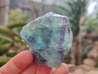 Natural Watermelon Fluorite Cobbed Specimens x 24 From Uis, Namibia