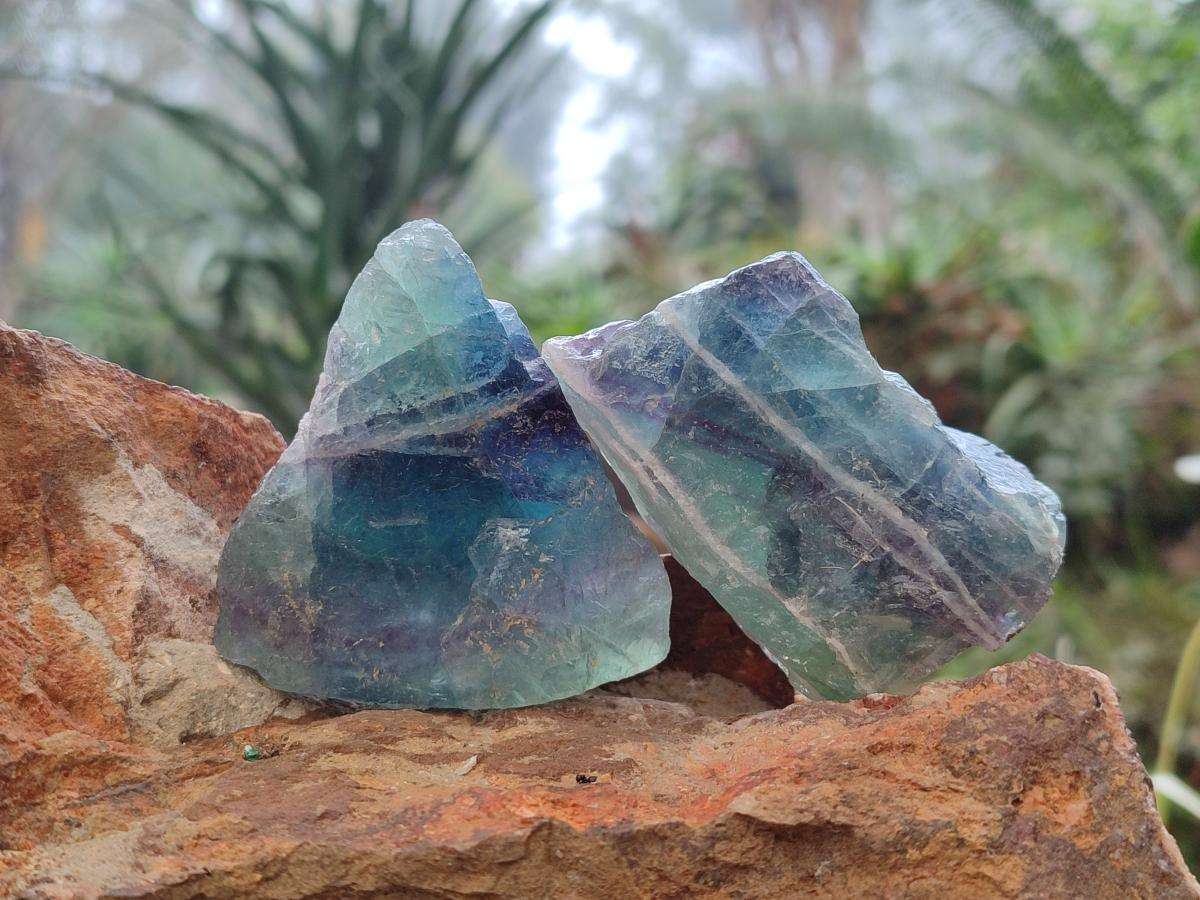 Natural Watermelon Fluorite Cobbed Specimens x 24 From Uis, Namibia
