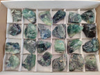 Natural Watermelon Fluorite Cobbed Specimens x 24 From Uis, Namibia
