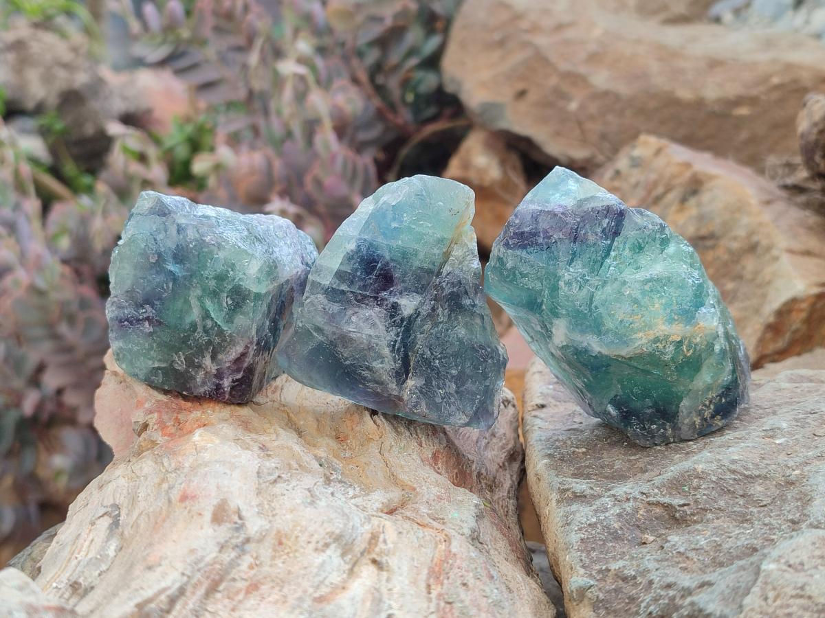 Natural Watermelon Fluorite Cobbed Specimens x 24 From Uis, Namibia