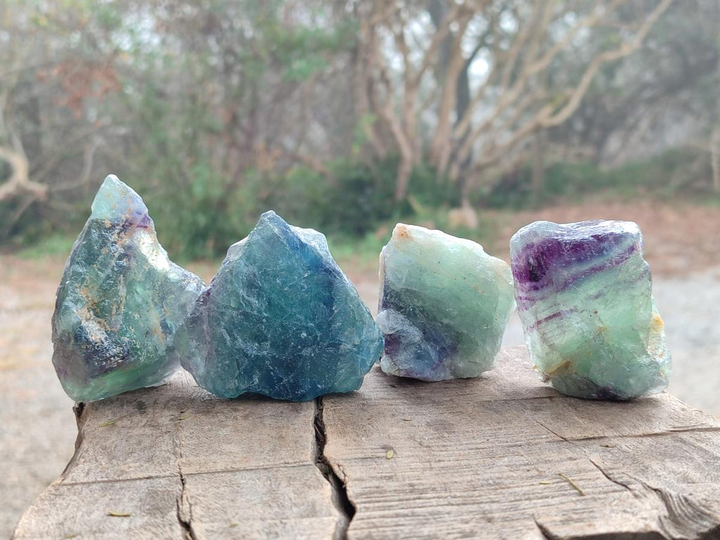 Natural Watermelon Fluorite Cobbed Specimens x 24 From Uis, Namibia