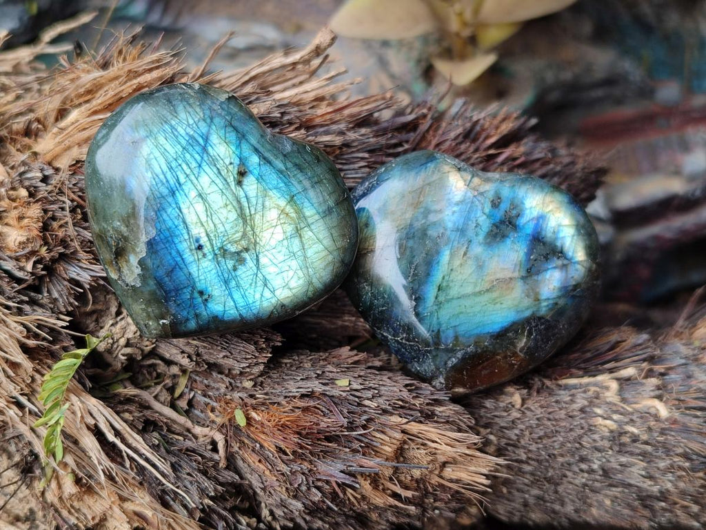 Polished Labradorite Hearts x 35 From Madagascar - Toprock Gemstones and Minerals 