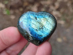 Polished Labradorite Hearts x 35 From Madagascar - Toprock Gemstones and Minerals 