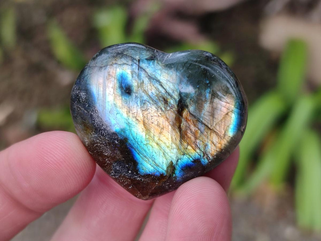 Polished Labradorite Hearts x 35 From Madagascar - Toprock Gemstones and Minerals 