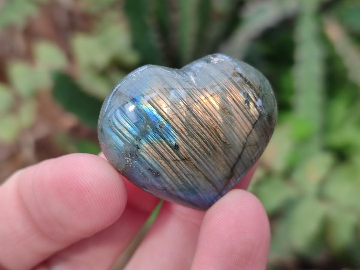 Polished Labradorite Hearts x 35 From Madagascar - Toprock Gemstones and Minerals 