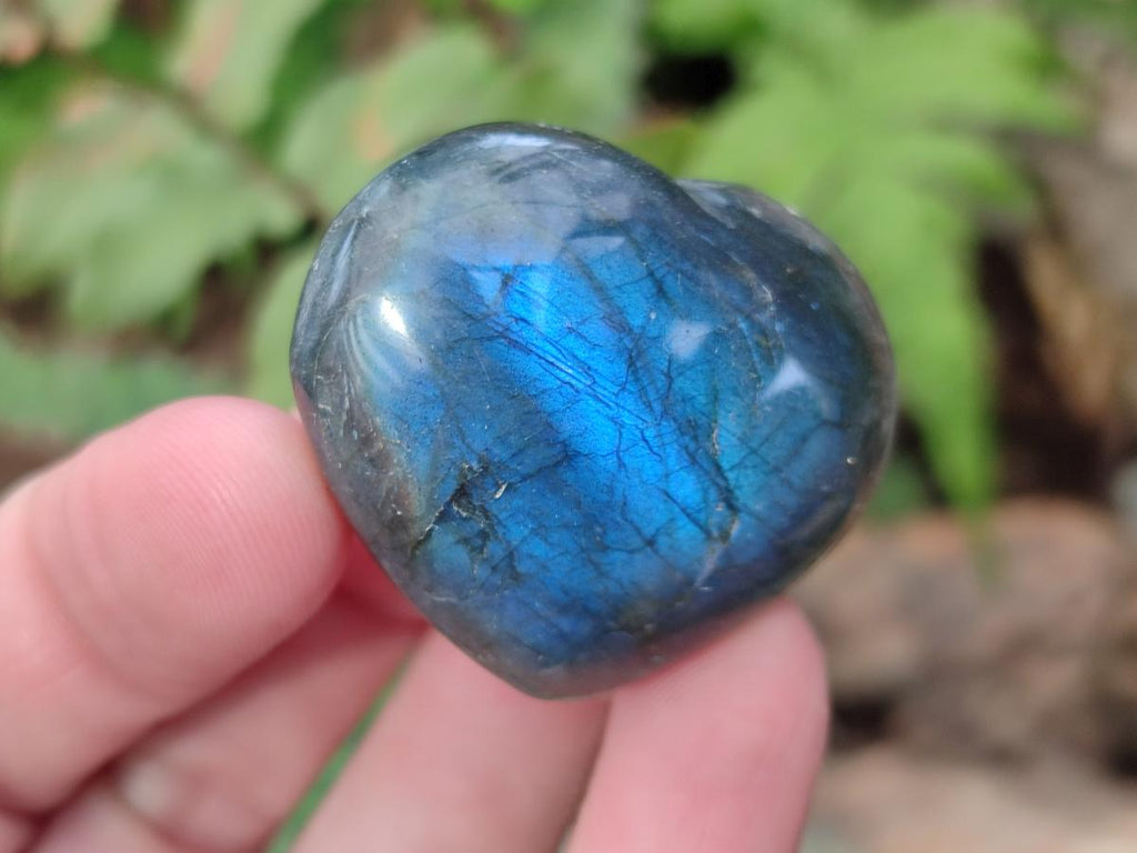 Polished Labradorite Hearts x 35 From Madagascar - Toprock Gemstones and Minerals 