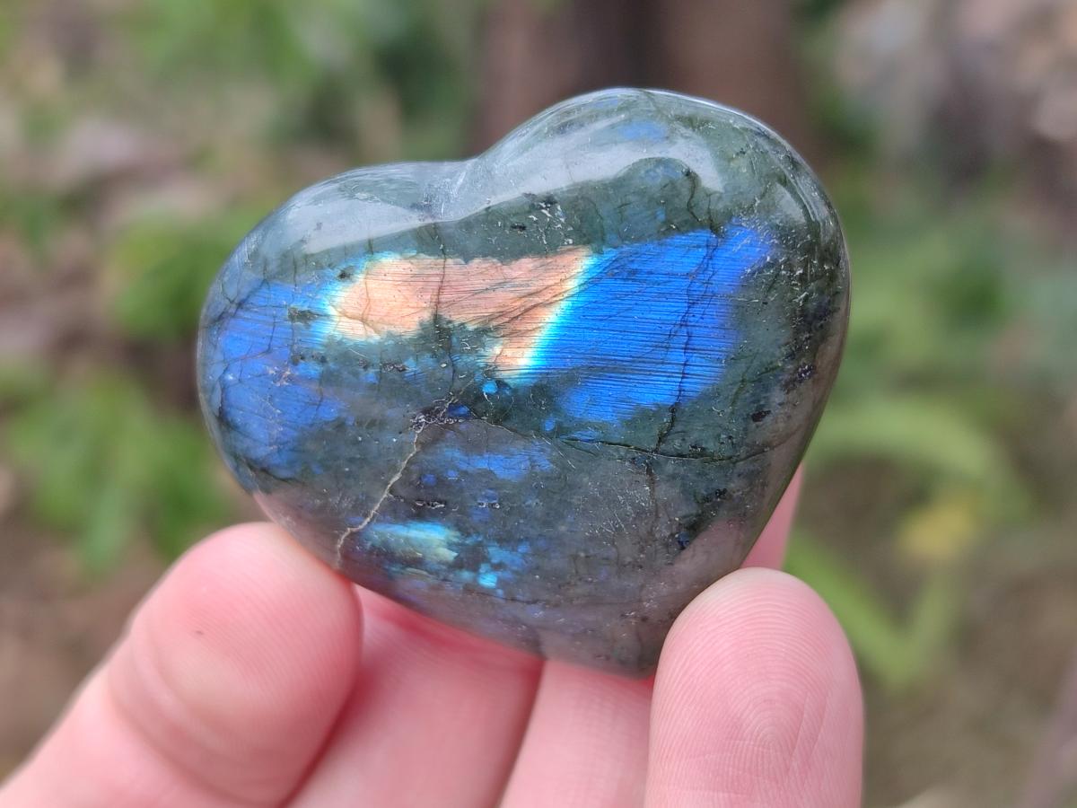 Polished Labradorite Hearts x 35 From Madagascar - Toprock Gemstones and Minerals 