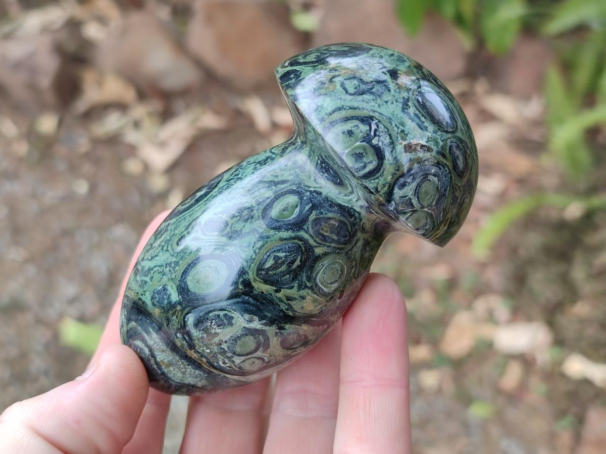 Polished Stromatolite "Kambaba Jasper" Mushrooms x 12 From Katsepy, Madagascar