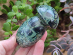 Polished Stromatolite "Kambaba Jasper" Mushrooms x 12 From Katsepy, Madagascar