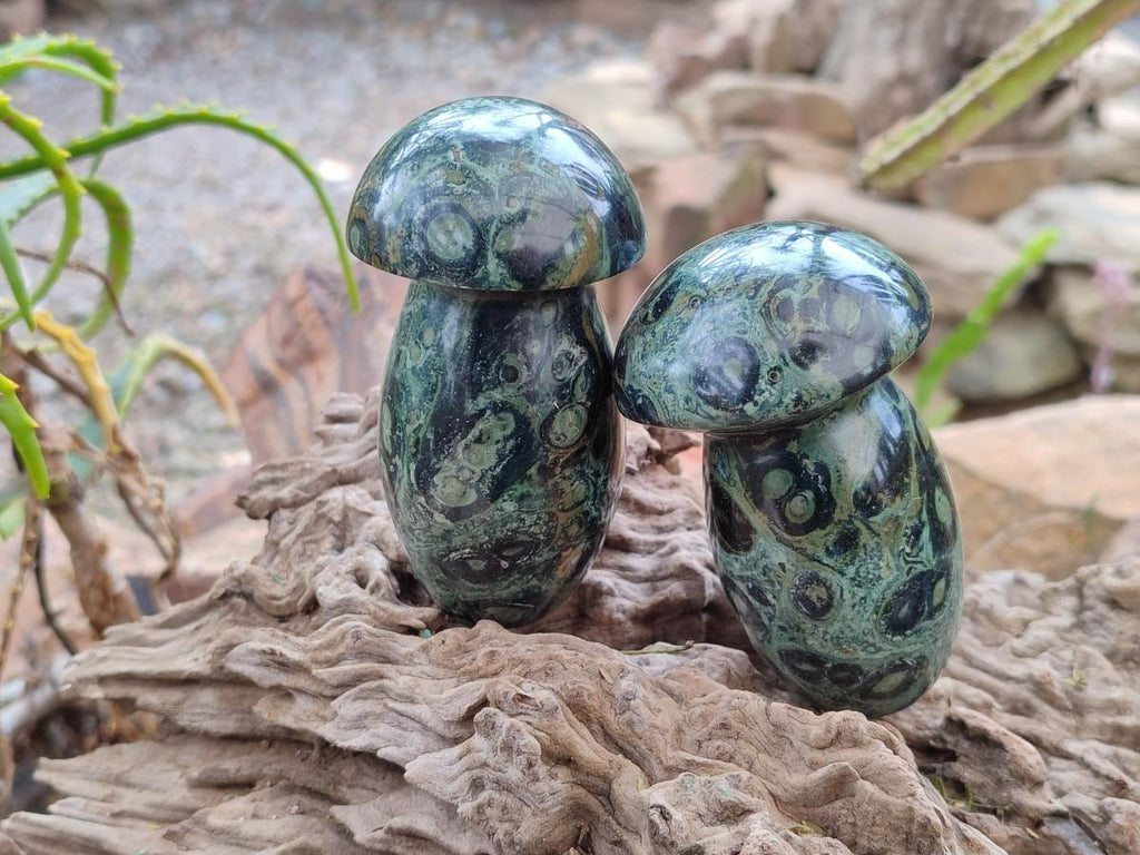 Polished Stromatolite "Kambaba Jasper" Mushrooms x 12 From Katsepy, Madagascar
