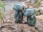 Polished Stromatolite "Kambaba Jasper" Mushrooms x 12 From Katsepy, Madagascar