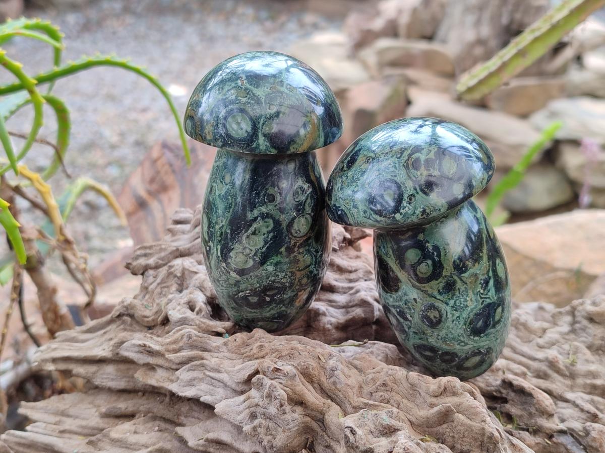 Polished Stromatolite "Kambaba Jasper" Mushrooms x 12 From Katsepy, Madagascar