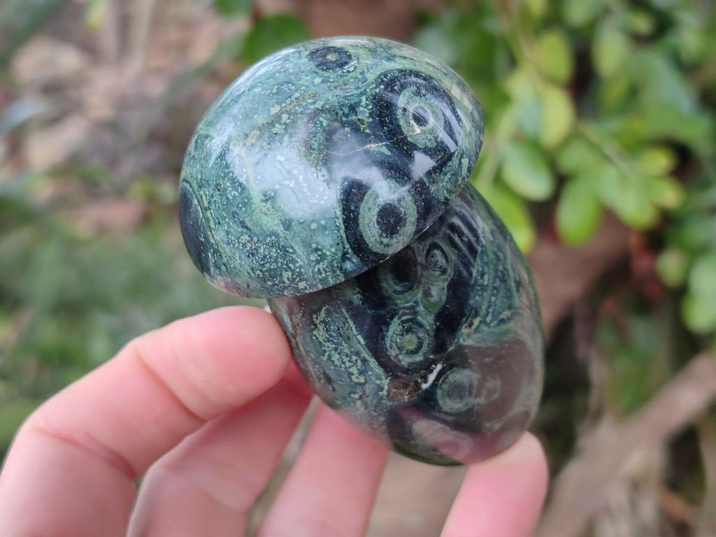 Polished Stromatolite "Kambaba Jasper" Mushrooms x 12 From Katsepy, Madagascar