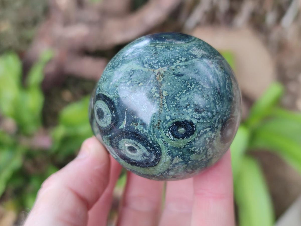 Polished Stromatolite "Kambaba Jasper" Mushrooms x 12 From Katsepy, Madagascar