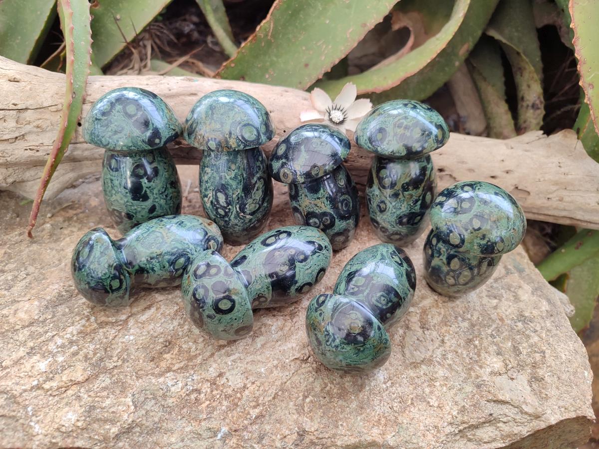 Polished Stromatolite "Kambaba Jasper" Mushrooms x 12 From Katsepy, Madagascar