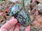 Polished Stromatolite "Kambaba Jasper" Mushrooms x 12 From Katsepy, Madagascar