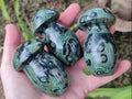 Polished Stromatolite "Kambaba Jasper" Mushrooms x 12 From Katsepy, Madagascar
