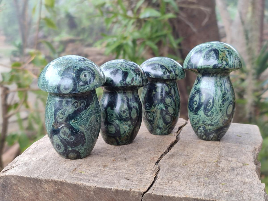 Polished Stromatolite "Kambaba Jasper" Mushrooms x 12 From Katsepy, Madagascar