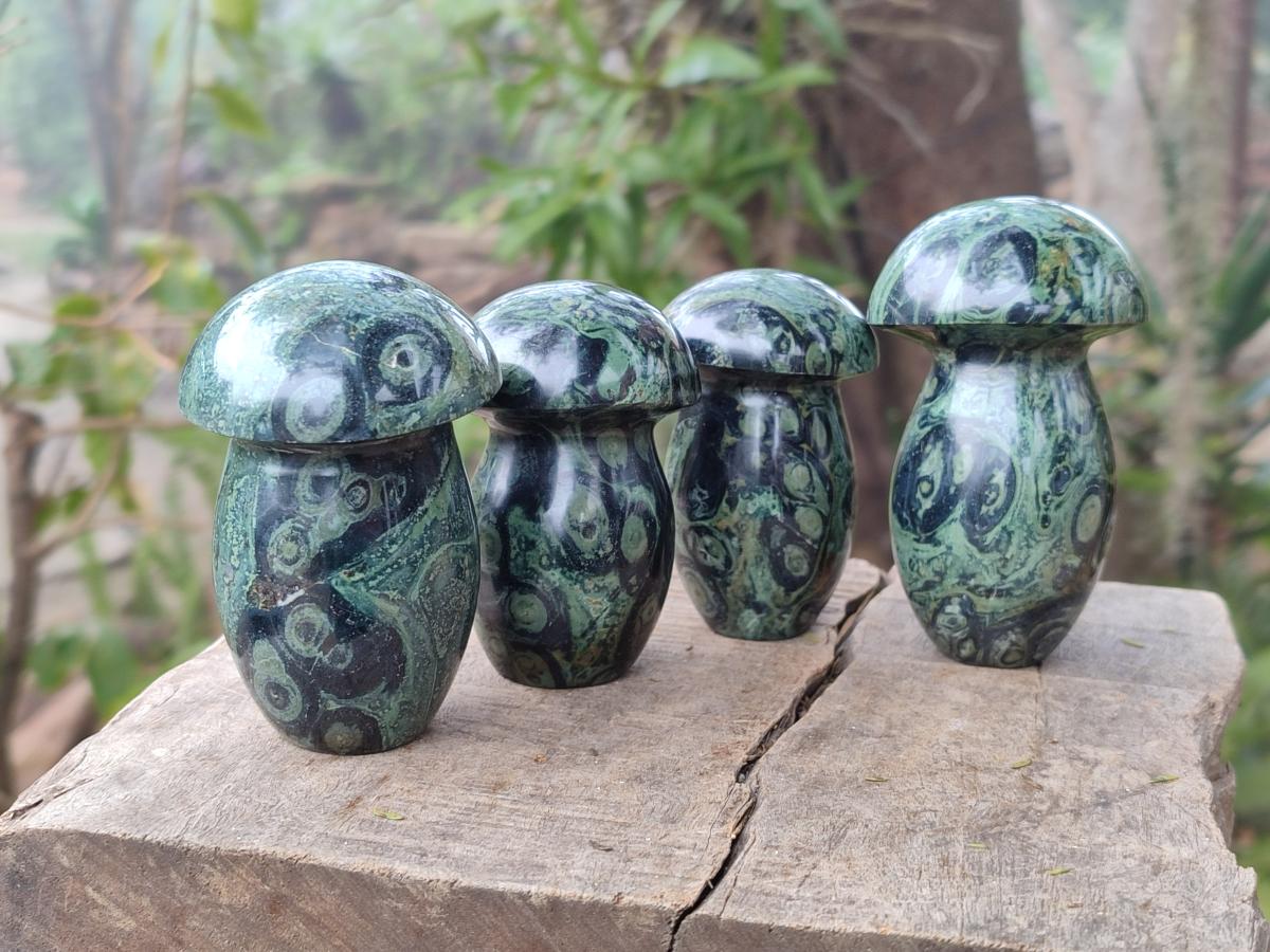 Polished Stromatolite "Kambaba Jasper" Mushrooms x 12 From Katsepy, Madagascar