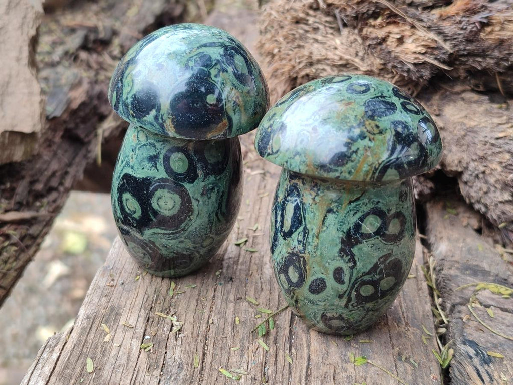 Polished Stromatolite "Kambaba Jasper" Mushrooms x 12 From Katsepy, Madagascar