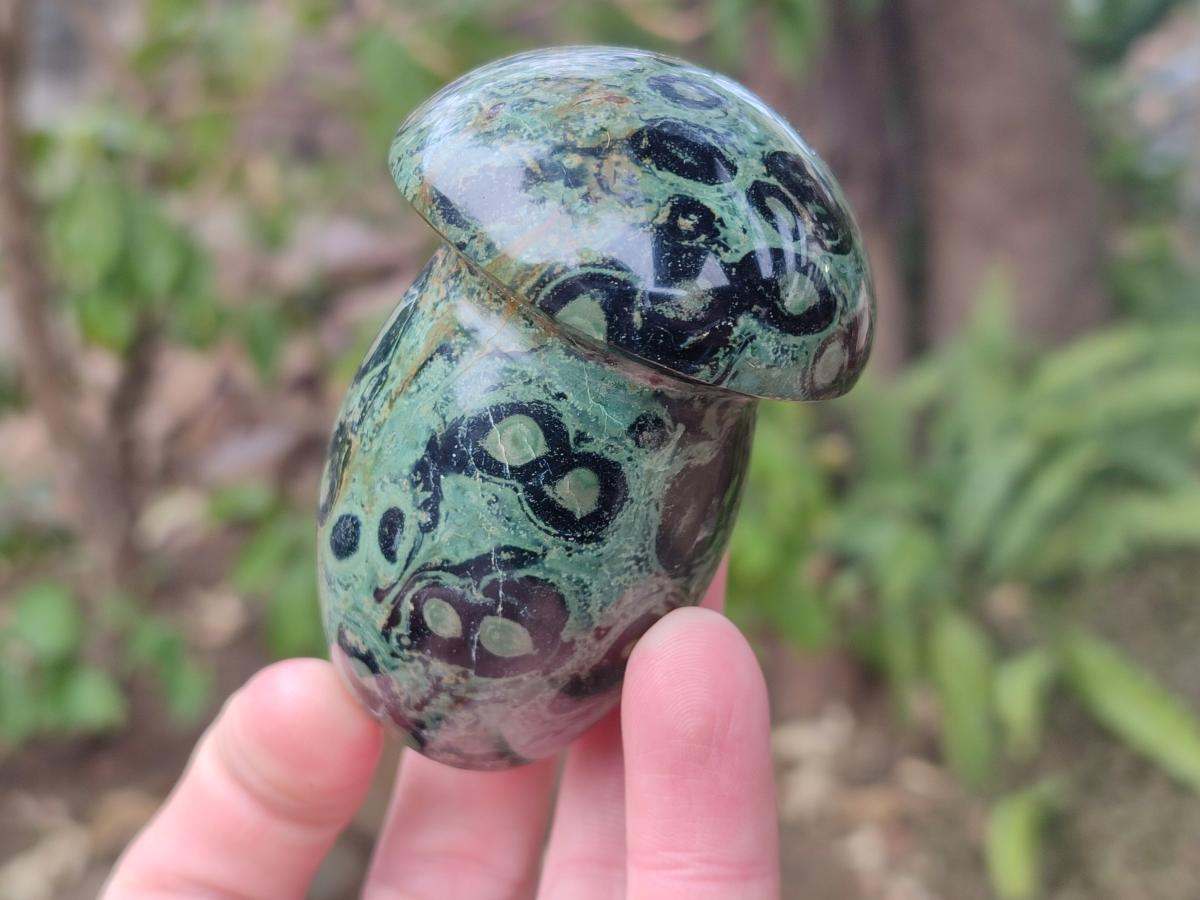 Polished Stromatolite "Kambaba Jasper" Mushrooms x 12 From Katsepy, Madagascar