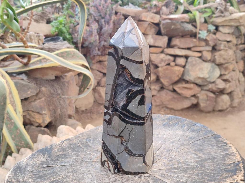 Polished Large Septerye Sauvage Display Crystal x 1 From Mahajanga, Madagascar - Toprock Gemstones and Minerals 