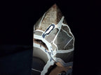 Polished Large Septerye Sauvage Display Crystal x 1 From Mahajanga, Madagascar - Toprock Gemstones and Minerals 