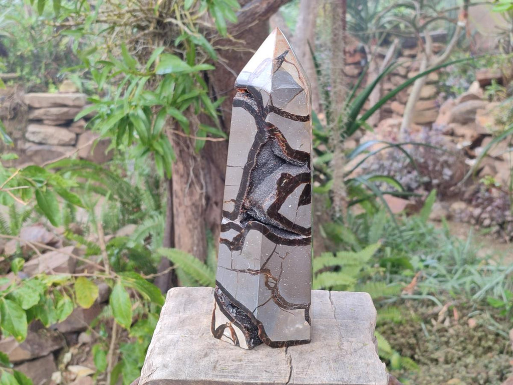 Polished Large Septerye Sauvage Display Crystal x 1 From Mahajanga, Madagascar - Toprock Gemstones and Minerals 