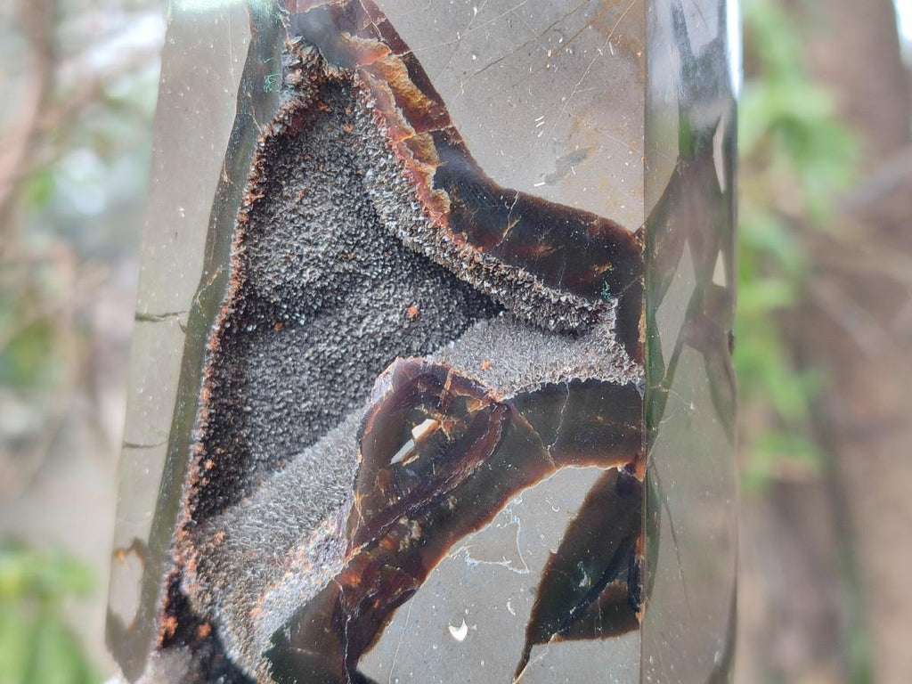 Polished Large Septerye Sauvage Display Crystal x 1 From Mahajanga, Madagascar - Toprock Gemstones and Minerals 