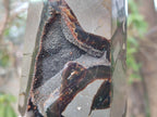 Polished Large Septerye Sauvage Display Crystal x 1 From Mahajanga, Madagascar - Toprock Gemstones and Minerals 