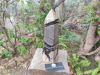 Polished Large Septerye Sauvage Display Crystal x 1 From Mahajanga, Madagascar - Toprock Gemstones and Minerals 