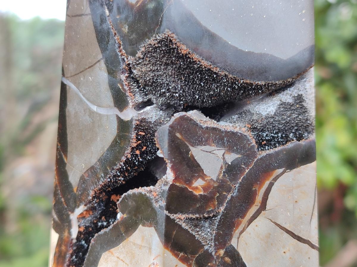 Polished Large Septerye Sauvage Display Crystal x 1 From Mahajanga, Madagascar - Toprock Gemstones and Minerals 