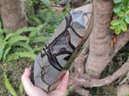 Polished Large Septerye Sauvage Display Crystal x 1 From Mahajanga, Madagascar - Toprock Gemstones and Minerals 